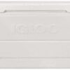 Igloo Maxcold Performance Cooler- 150 qt./142L - White - Image 2