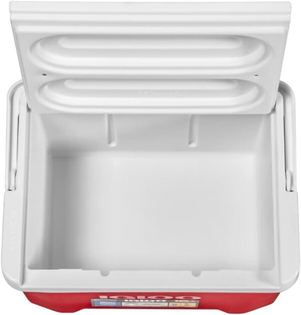 Igloo 9qt Laguna Ice Chest Cooler - Image 4