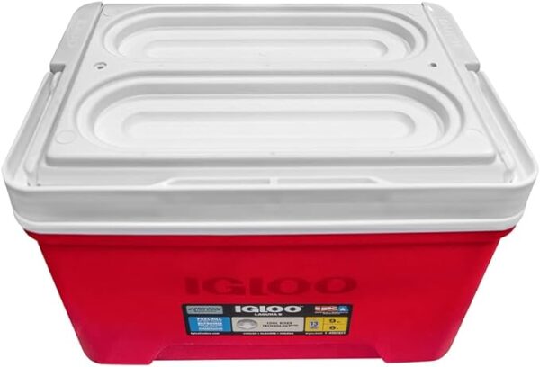 Igloo 9qt Laguna Ice Chest Cooler - Image 3