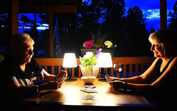 Light Your Patio Cordless Mini Lamp - Image 6