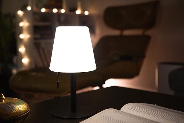 Light Your Patio Cordless Mini Lamp - Image 4