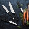 Hampton Forge Mirage Utility Knife Set - 5piece - Image 3
