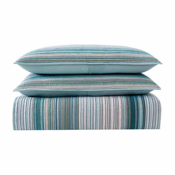 Retro Chic Queen 3-piece Quilt Bedding Set - Image 4