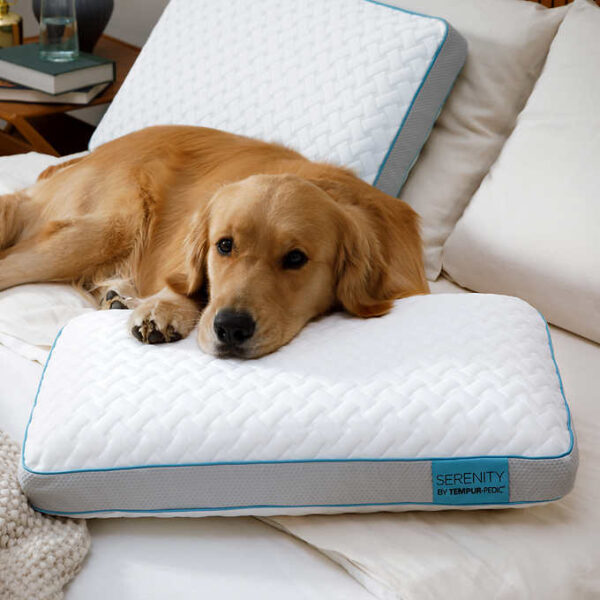 Serenity by Tempur-Pedic Memory Foam Bed Pillow - Image 6