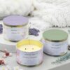Simply Indulgent Essential Oils And Soy Wax Scented Candle - 3-Pack