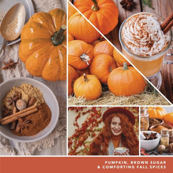 Yankee Candle Spiced Pumpkin - 22 Oz Original - Image 3