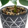 Farmhouse Monstera Artificial Flower - 38 Cm - Image 8