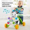 Fisher Price Zebra First Steps Baby Walker