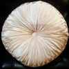 Velvet Aqua Soft Lumbar Throw Pillow - 16 X 16in