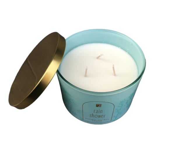 Wendy Bellissimo Rain Shower Sea Salt Scented Candle - 14oz - Image 4