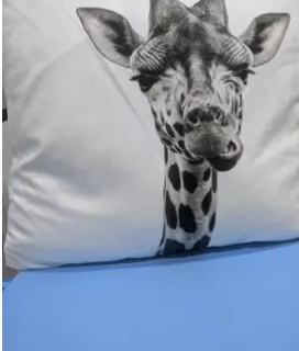 Tesco Giraffe Single Sided Print Throw Pillow Set Of 2