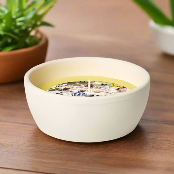 Spaas ''Lemon Breeze'' Citronella Candle In Terracotta Pot - 10oz
