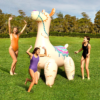Big Mouth No Llama Lawn Sprinkler Water Toy For Kids 7ft