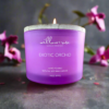 Willow + Rose Exotic Orchid Mokara Scented Candle-14oz (397g)