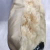 Country Club Faux Fur Filled Throw Pillow - 43cm X 43cm - Image 5