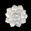 Set Of 3 Decorative Gradual Size Ceramic Wall Flowers - Image 3