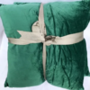 Country Club 2pc Embossed Velvet Throw Pillows - Green - Image 5