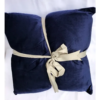 Country Club 2pc Embossed Velvet Throw Pillows - Blue - Image 4
