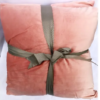 Country Club 2pc Embossed Velvet Throw Pillows - Pink - Image 5