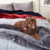 Vellux Couch And Bed Throw Blanket - Twin - Image 4